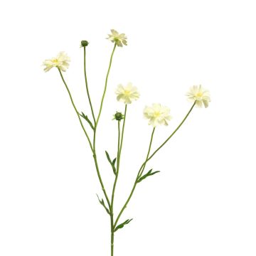 Dekorativ kvist med flockenblomma TAOTAO, krämfärgad, 65cm, Ø4-5cm