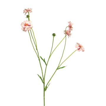 Dekorativ kvist av flockenblomma TAOTAO, cerise-rosa, 65cm, Ø4-5cm