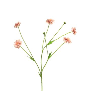 Dekorativ kvist med flockenblomma TAOTAO, rosa, 65cm, Ø4-5cm