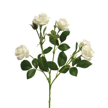 Konstblomma, rosgren SHANZHA, krämfärgad, 70cm, Ø6,5-7cm Konstblomma, rosgren SHANZHA, krämfärgad, 70cm, Ø6,5-7cm