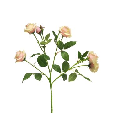 Konstblomma, rosenkvist SHANZHA, rosa-krämfärgad, 70cm, Ø6,5-7cm Konstblomma, rosenkvist SHANZHA, rosa-krämfärgad, 70cm, Ø6,5-7cm