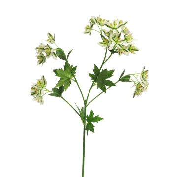 Dekorativ kvist Euphorbia marginata MENGWEN, blommor, krämgrön, 65cm Dekorativ kvist Euphorbia marginata MENGWEN, blommor, krämgrön, 65cm