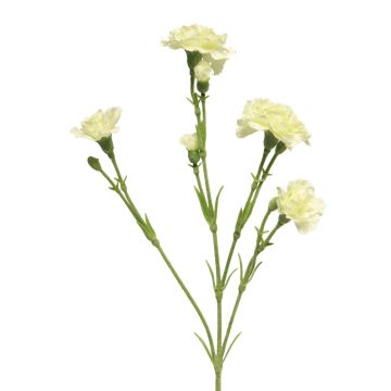 Konstblomma, nejlika AHONG, krämfärgad, 60cm, Ø6-7cm Konstblomma, nejlika AHONG, krämfärgad, 60cm, Ø6-7cm