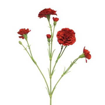 Konstblomma nejlika AHONG, röd, 60cm, Ø6-7cm Konstblomma nejlika AHONG, röd, 60cm, Ø6-7cm