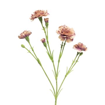 Konstblomma nejlika AHONG, lila-rosa, 60cm, Ø6-7cm Konstblomma nejlika AHONG, lila-rosa, 60cm, Ø6-7cm