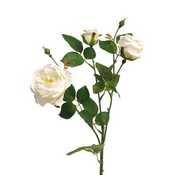 Dekorativ rosgren SHIYUN, krämfärgad, 60cm, Ø3,5-8,5cm Dekorativ rosgren SHIYUN, krämfärgad, 60cm, Ø3,5-8,5cm