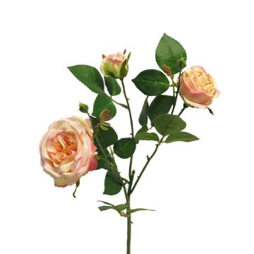 Dekorativ rosgren SHIYUN, rosa-cerise, 60cm, Ø3,5-8,5cm Dekorativ rosgren SHIYUN, rosa-cerise, 60cm, Ø3,5-8,5cm