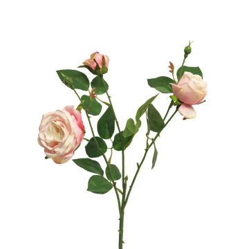 Dekorativ kvist med ros SHIYUN, krämrosa, krämfärgad-cerise, 60cm, Ø3,5-8,5cm Dekorativ kvist med ros SHIYUN, krämrosa, krämfärgad-cerise, 60cm, Ø3,5-8,5cm