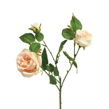 Dekorativ rosgren SHIYUN, krämrosa, 60cm, Ø3,5-8,5cm Dekorativ rosgren SHIYUN, krämrosa, 60cm, Ø3,5-8,5cm
