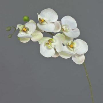 Konstgjord gren med Phalaenopsis-orkidé SONGYA, vit-grön, 50cm, Ø6-7cm