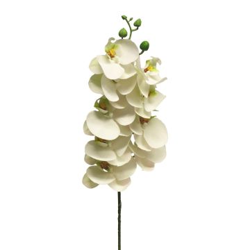 Konstgjord gren med Phalaenopsis-orkidé SONGYA, vit, 75cm