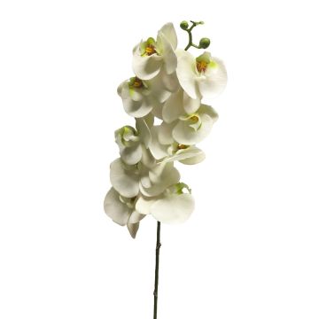 Konstgjord gren av Phalaenopsis-orkidé SONGYA, vit, 105cm