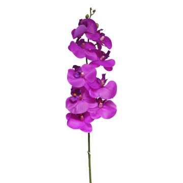 Konstgjord gren med Phalaenopsis-orkidé SONGYA, cerise, 105cm