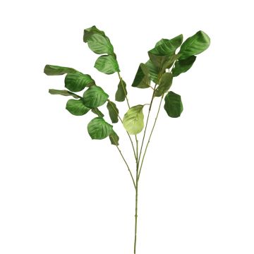 Dekorativ kvist av arrowroot JIEBAI, grön, 115cm