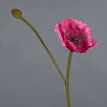 Konstblomma vallmo YILAN, cerise, 60cm, Ø12cm
