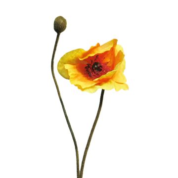 Konstblomma vallmo YILAN, orange-gul, 60cm, Ø12cm