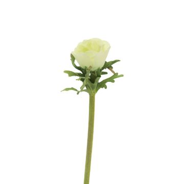 Konstblomma anemon BOYANG, ljusgrön, 35cm, Ø6cm Konstblomma anemon BOYANG, ljusgrön, 35cm, Ø6cm