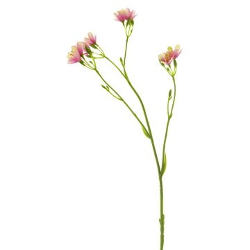 Dekorativ kvist med petunia YAWEI, rosa-krämfärgad, 60cm Dekorativ kvist med petunia YAWEI, rosa-krämfärgad, 60cm