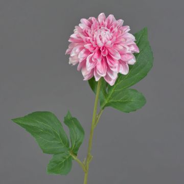 Konstgjord dahlia WANRU, rosa-vit, 50cm, Ø9cm Konstgjord dahlia WANRU, rosa-vit, 50cm, Ø9cm