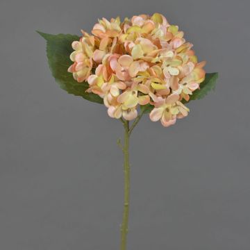 Konstgjord hortensia QILIN, ljusgul-persika, 35cm, Ø15cm Konstgjord hortensia QILIN, ljusgul-persika, 35cm, Ø15cm