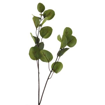 Dekorativ kvist av eukalyptus AOSHAN, grön, 80cm