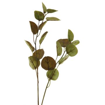 Dekorativ kvist av eukalyptus AOSHAN, brun-grön, 80cm Dekorativ kvist av eukalyptus AOSHAN, brun-grön, 80cm