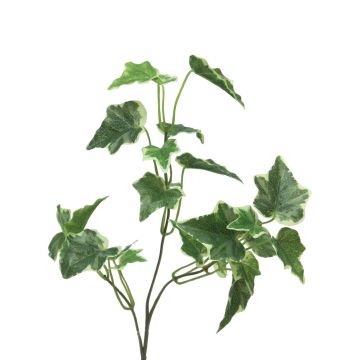 Dekorativ kvist med murgröna LANSHUO, grön-vit, 55cm Dekorativ kvist med murgröna LANSHUO, grön-vit, 55cm