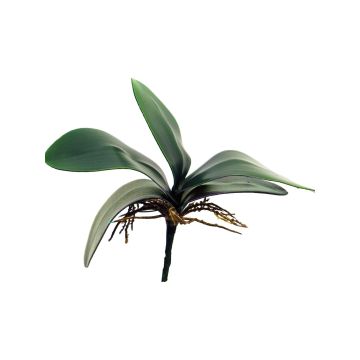 Konstgjorda blad av Phalaenopsis-orkidé XIAOQIN med luftrötter, 25cm Konstgjorda blad av Phalaenopsis-orkidé XIAOQIN med luftrötter, 25cm