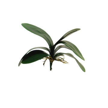 Konstgjorda blad, Phalaenopsis-orkidé XIAOQIN med luftrötter, 30cm Konstgjorda blad, Phalaenopsis-orkidé XIAOQIN med luftrötter, 30cm