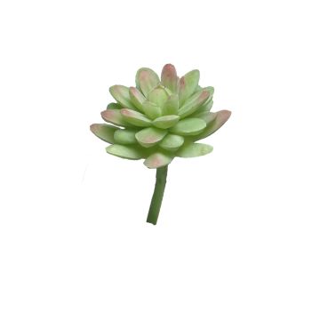 Dekorativ Sedum rubrotinctum AOLUO på stickpinne, grön-röd, 16cm