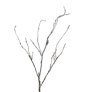 Dekorativ kvist av korkskruvspäls LIFEN, brun, 95cm Dekorativ kvist av korkskruvspäls LIFEN, brun, 95cm