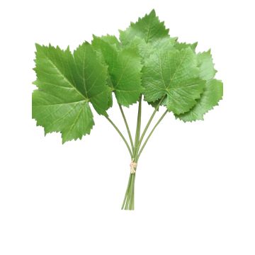 Dekorationsblad lönn FENLI, 6 stycken, grönt, 30cm Dekorationsblad lönn FENLI, 6 stycken, grönt, 30cm