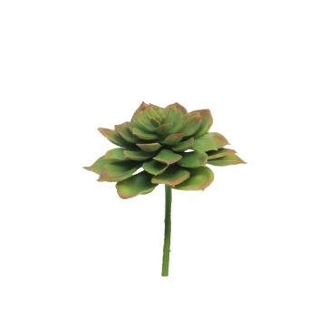 Konstgjord Echeveria morani XINYA på stödpinne, grön-röd, 17cm Konstgjord Echeveria morani XINYA på stödpinne, grön-röd, 17cm