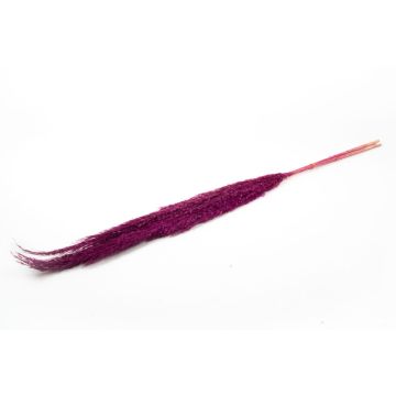 Torkat vassbunt DONJETA, violett, 115-120cm, Ø15cm Torkat vassbunt DONJETA, violett, 115-120cm, Ø15cm