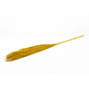 Torkat vassbunt DONJETA, curryt, 115-120cm, Ø15cm Torkat vassbunt DONJETA, curryt, 115-120cm, Ø15cm