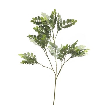 Dekorativ gren av robinia WENLIN, grågrön, 100cm Dekorativ gren av robinia WENLIN, grågrön, 100cm