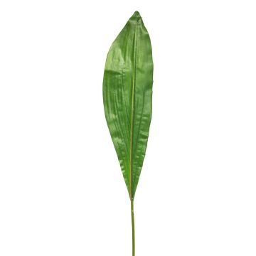 Konstblad klubblilja XIANGAN, grön, 90cm Konstblad klubblilja XIANGAN, grön, 90cm