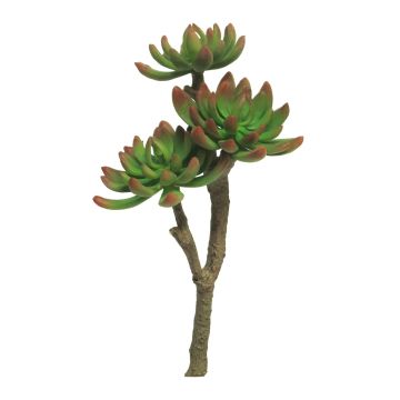 Konstgjord Echeveria elegans FEIFANG på pinne, grön-röd, 30cm Konstgjord Echeveria elegans FEIFANG på pinne, grön-röd, 30cm