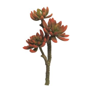 Konstgjord Echeveria elegans FEIFANG på pinne, rödgrön, 30cm Konstgjord Echeveria elegans FEIFANG på pinne, rödgrön, 30cm