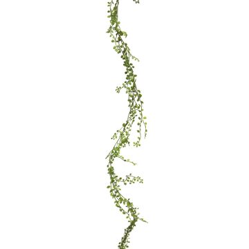 Dekorativ girland Muehlenbeckia WEIJIA, grön, 180cm Dekorativ girland Muehlenbeckia WEIJIA, grön, 180cm