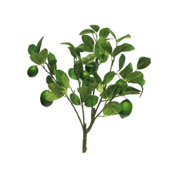 Dekorativ gren med limefrukter XIALIN, grön, 60cm Dekorativ gren med limefrukter XIALIN, grön, 60cm