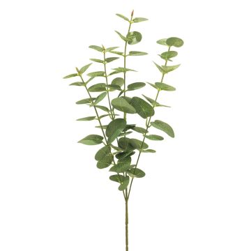 Konstgjord eukalyptusgren MINJIA, grön, 65cm