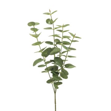 Konstgjord eukalyptusgren MINJIA, grågrön, 65cm