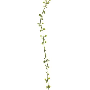 Konstgjord girland Muehlenbeckia JIAMIN, grön-grå, 240cm Konstgjord girland Muehlenbeckia JIAMIN, grön-grå, 240cm