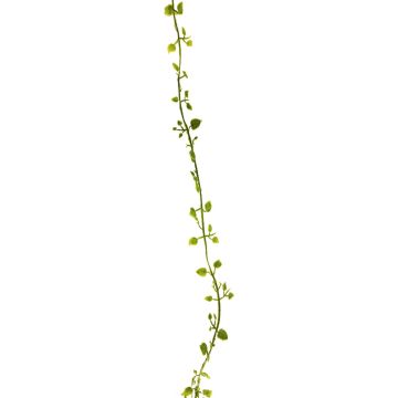 Konstgjord girland Muehlenbeckia JIAMIN, grön, 240cm Konstgjord girland Muehlenbeckia JIAMIN, grön, 240cm