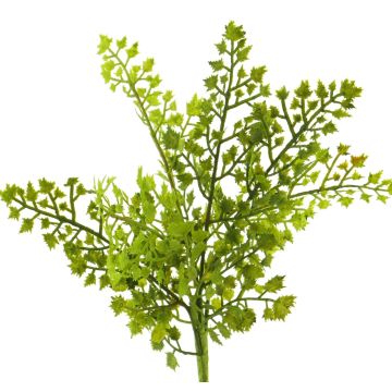 Dekorativ växt kvinnohårsfarn SHUMING, stickpinne, grön, 30cm
