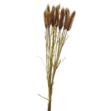 Konstgjord vete-bukett YANGMEI, persika, 55cm Konstgjord vete-bukett YANGMEI, persika, 55cm