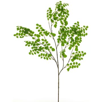 Konstgjord akacie-gren YUSHU, grön, 130cm Konstgjord akacie-gren YUSHU, grön, 130cm