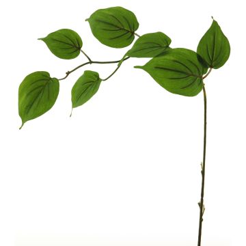 Dekorativ gren av kornell SHUNNAN, grön, 75cm Dekorativ gren av kornell SHUNNAN, grön, 75cm