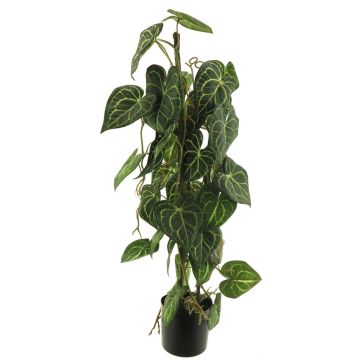 Konstväxt fläckig eféu SHUSU, grön, 80cm